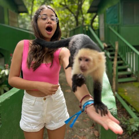 Monkey / Sloth Park + City Tour & Beach Break in Roatan - Roatan Sandri