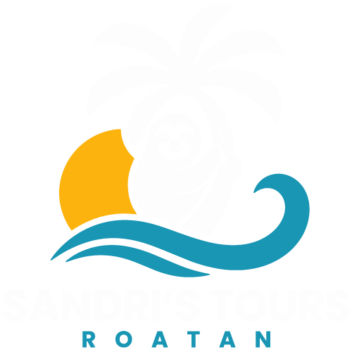 roatan-tours-new-logo-footer